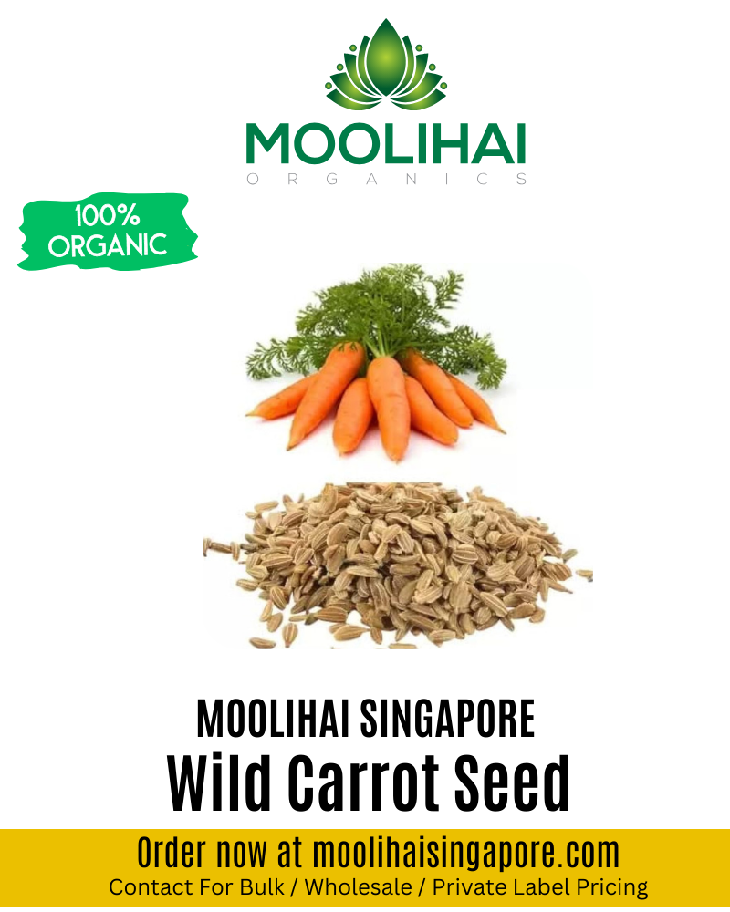 Wild Carrot Seed