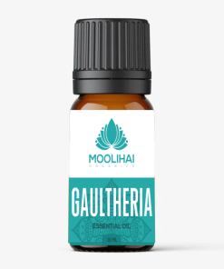 Gaultheria Essential Oil