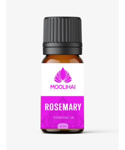 Rosemary Essential Oil