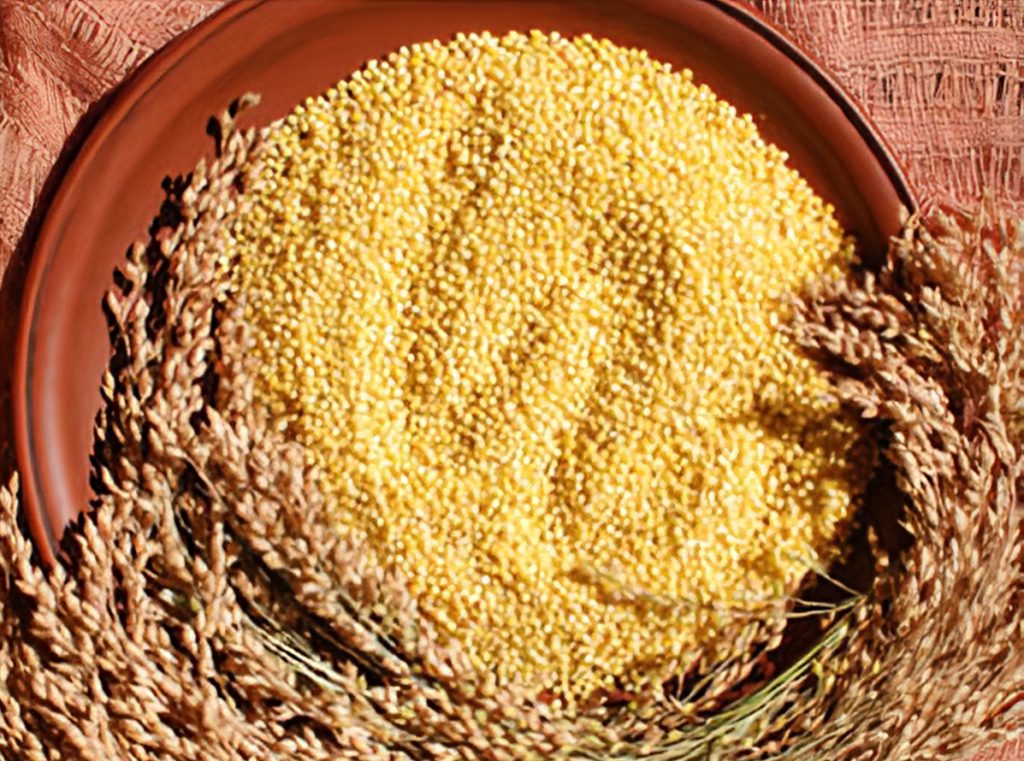 Little Millet Samai Kutki Samulu Panicum Sumatrense [Low GI and