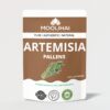 moolihai artemisia pallens