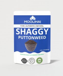 moolihai shaggy puttonweed