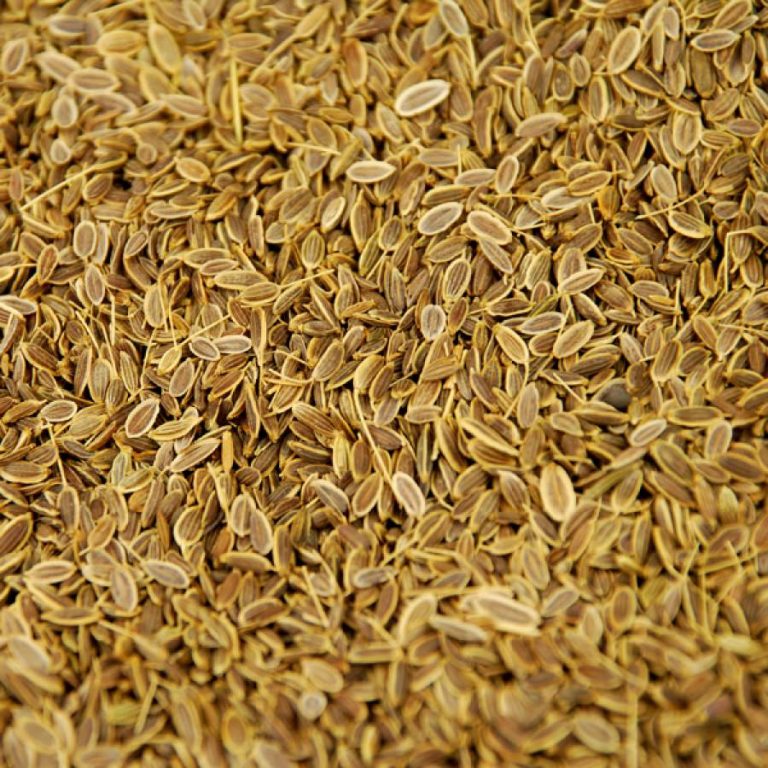 Buy Sathakuppai Powder Dill Seed Powder Online