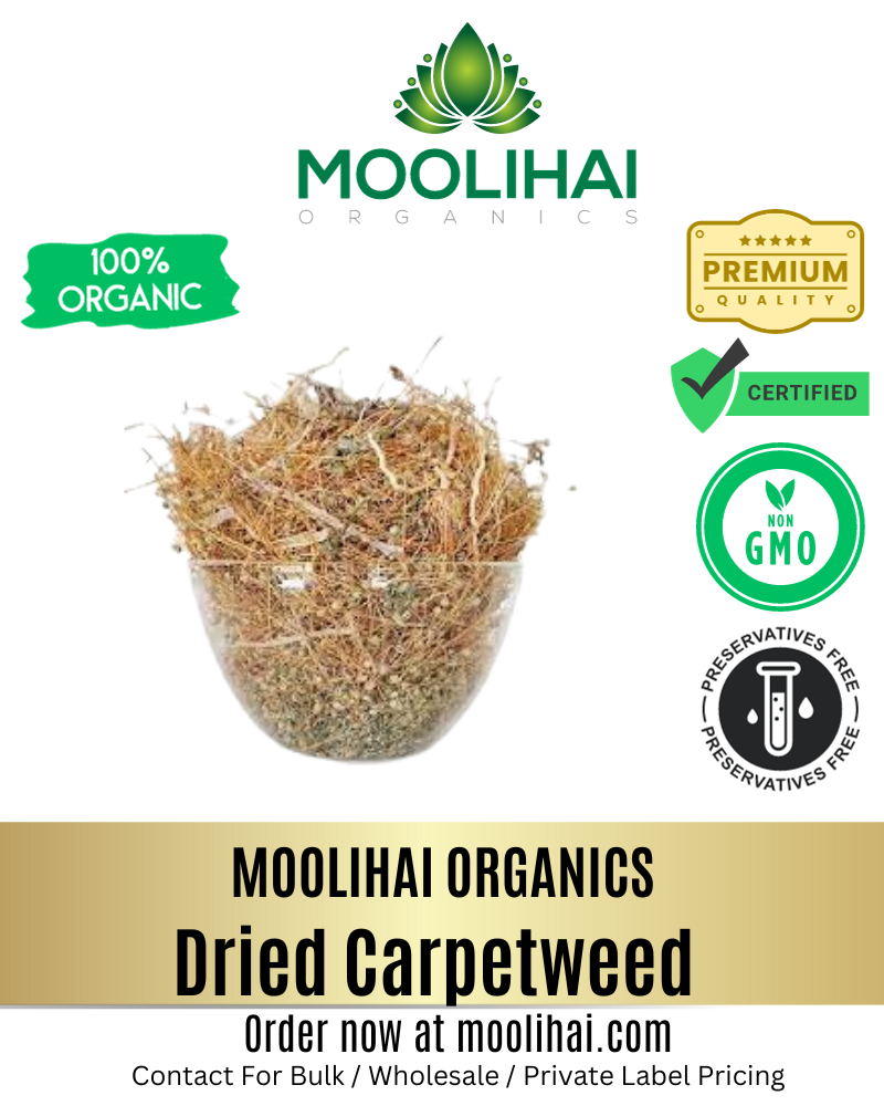 Dried Carpetweed | Raw Parpadaga Pul - Mollugo verticillata