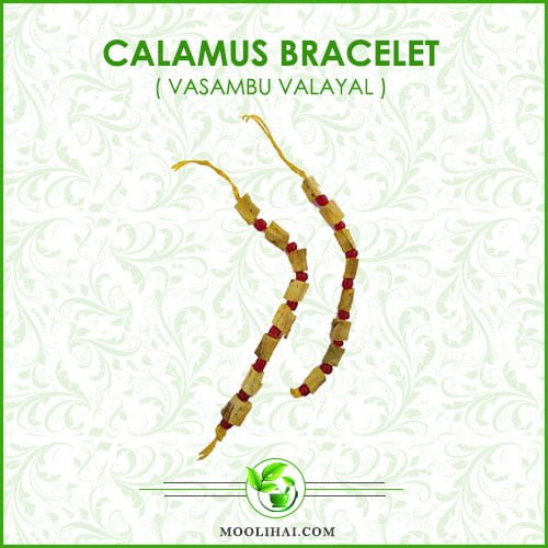 buy vasambu for babies Archives - Shop organic herbal products, raw dried  herbs, pisin, spices online - TrueLyf Essentials