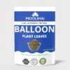moolihai balloon plant leaves