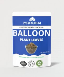 moolihai balloon plant leaves