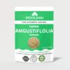 moolihai cassia amgustiflolia powder