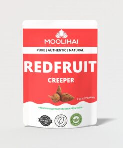 moolihai redfruit creeper