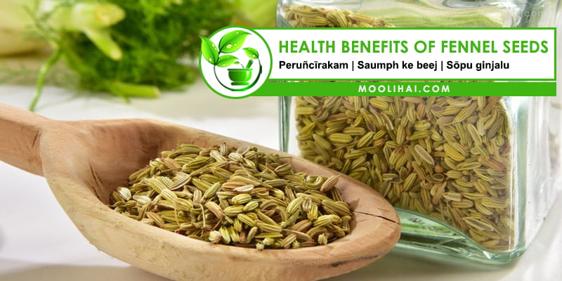 Health Benefits & Medicinal Uses of Fennel Seeds 