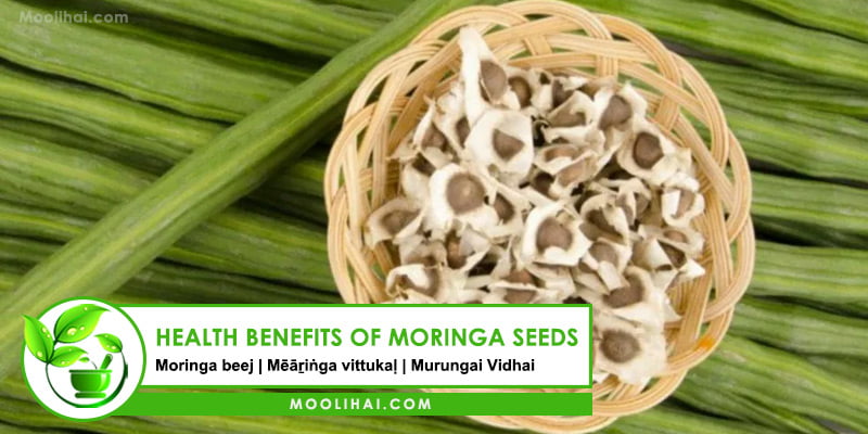 23 Possible Health Benefits of Moringa Seeds [For Skin & Hair]