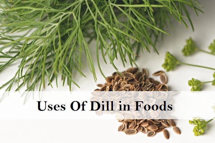 Uses of Dill