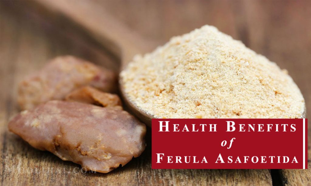 31 Possible Benefits of Ferula Asafoetida [For Health, Skin, & Hair]