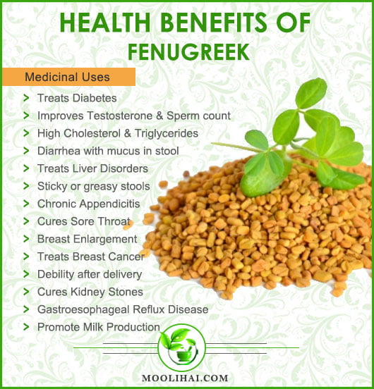 The Health Benefits Of Fenugreek: A Spice With Many Medicinal Properties