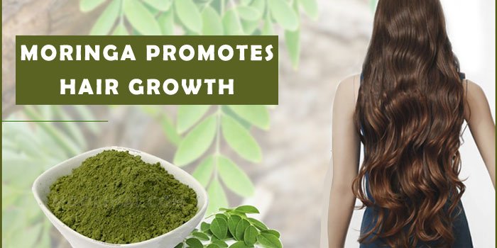 23 Possible Health Benefits of Moringa Seeds [For Skin & Hair]