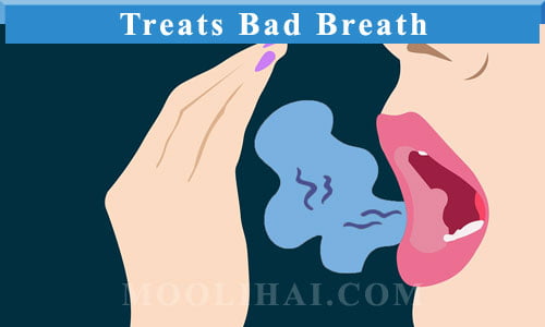 nutmeg-Treats-Bad-Breath