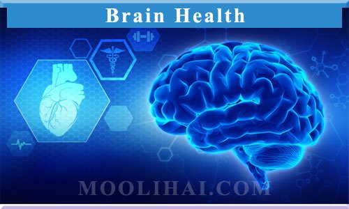 nutmeg-for-brain-health