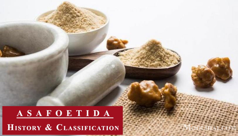 31 Possible Benefits of Ferula Asafoetida [For Health, Skin, & Hair]