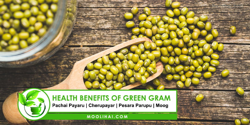 NATURAL UBTAN - With the Goodness of Natural Pulses: Green Gram and Chickpea
