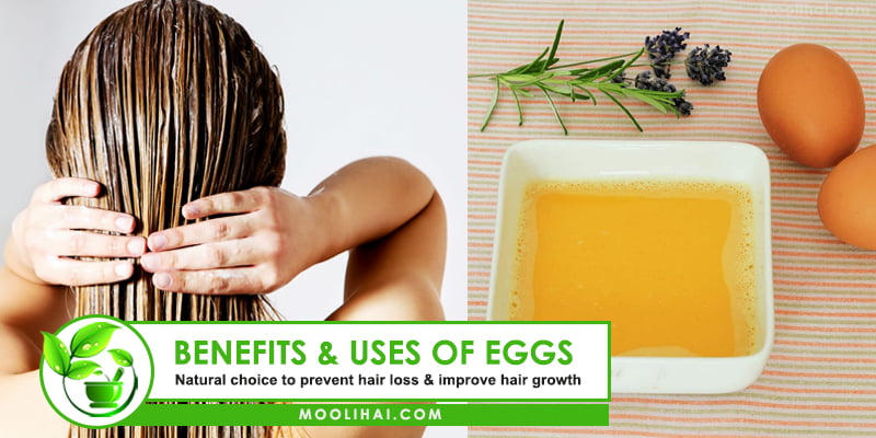 Amazing Benefits of Egg Yolk for Hair Growth [Uses & Side Effects]