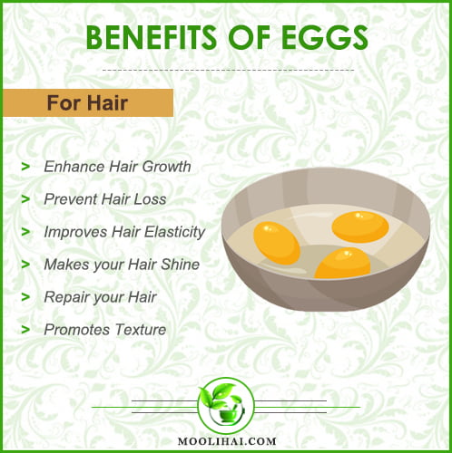 Amazing Benefits of Egg Yolk for Hair Growth [Uses & Side Effects]