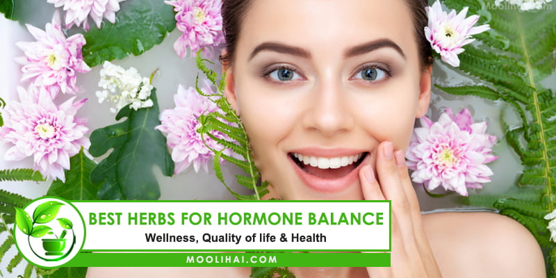 Best Herbs For Hormone Balance