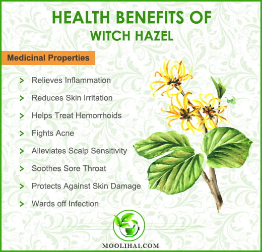 witch hazel uses