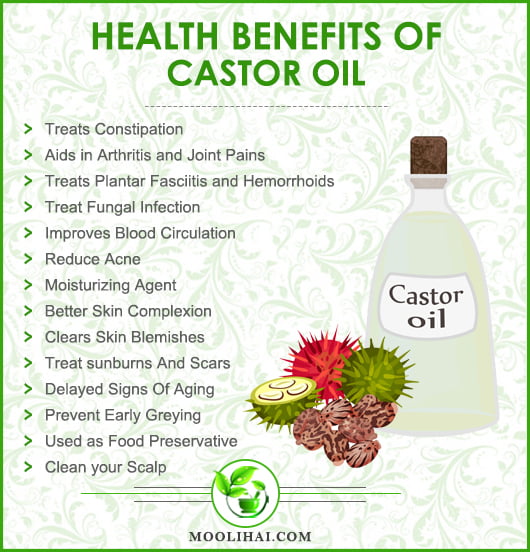 Unbelievable Health Benefits Of Castor Oil - Moolihai.com