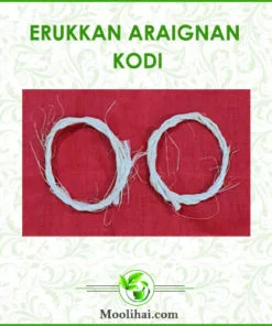 Erukkan Araignan Kodi for Babies | 100 % Organic & Natural -3 Set- Pack of 6