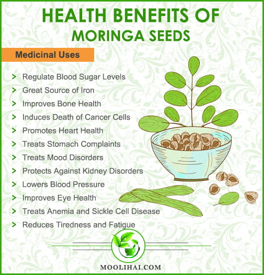 Moringa powder benefits