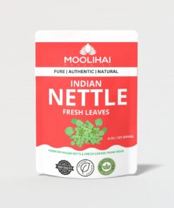 moolihai indian nettle frech leaves