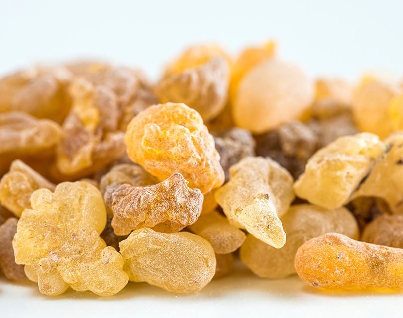 Boswellia Serrata Extract - Image 2
