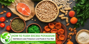 How To Flush Excess Potassium
