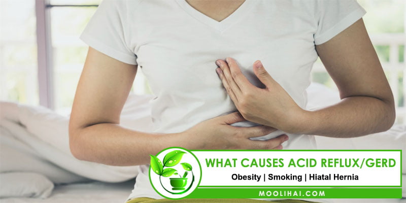 What causes Acid Reflux