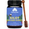 Giloy Infused Honey | Guduchi Honey 500g