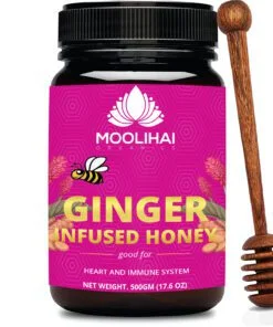 Ginger Infused Honey 500g
