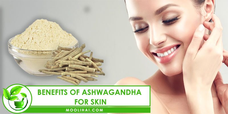 Benefits of Ashwagandha for Skin