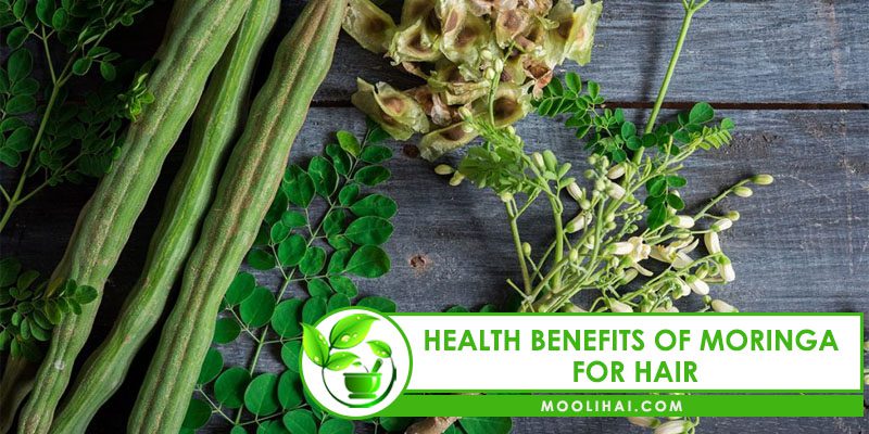 9 Proven Benefits of Moringa For Hair Growth 