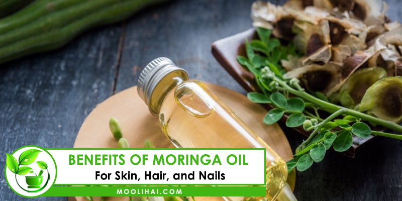Benefits of Moringa Oil For Skin, Hair, and Nails 