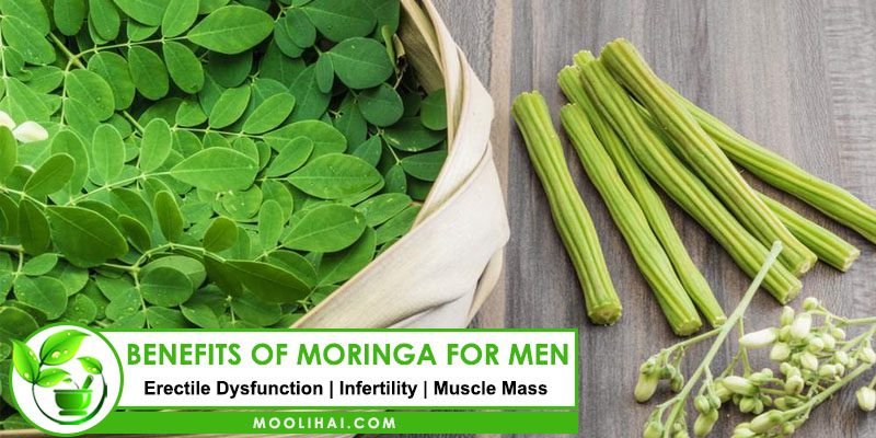 Benefits of Moringa for Men