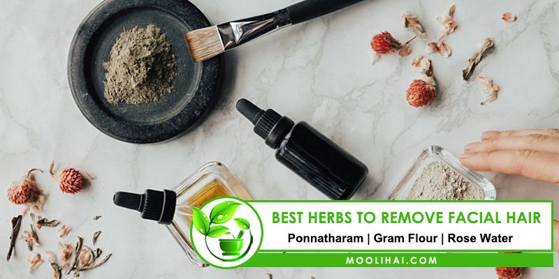 Best Herbs to Remove Facial Hair