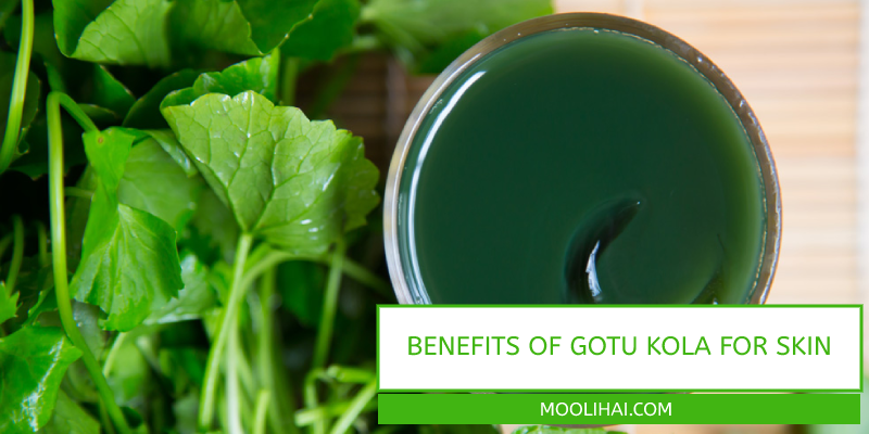 Benefits of Gotu Kola for Skin Care