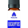 Moolihai Eucalyptus Essential  Oil